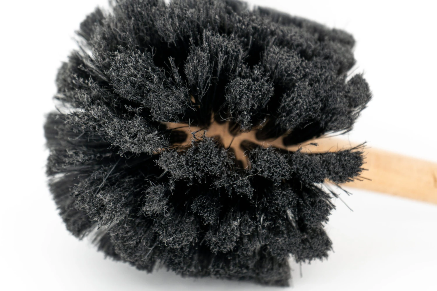 Peaty's Moerasborstel 3 Peaty's Moerasborstel - Afbeelding 3