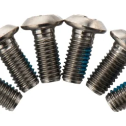 TRP Titaniumschroeven Voor Remschijven - Zilver